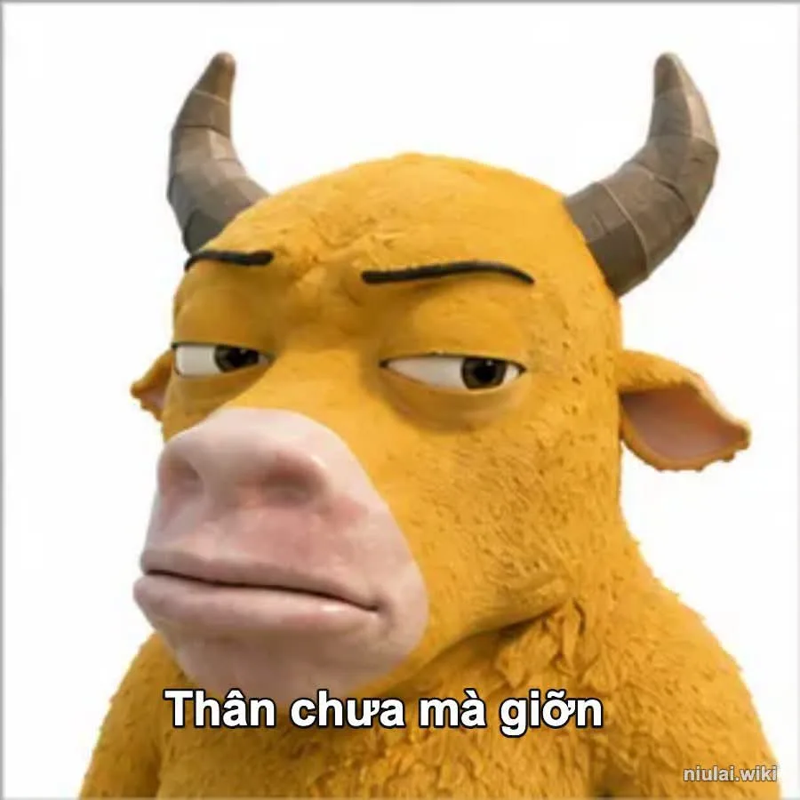 Bằng chứng